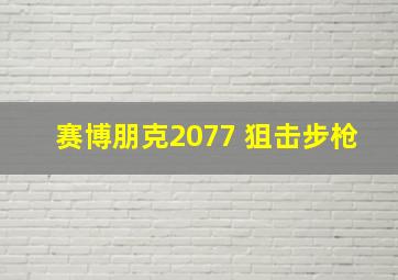 赛博朋克2077 狙击步枪